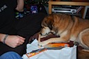 Isis Kerst 2008-026